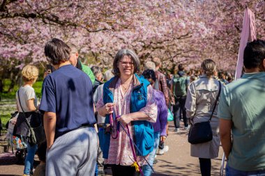 Danimarka 'nın Kopenhag kentindeki Bispegjerg mezarlığındaki kiraz ağacını ziyaret eden insanlar.