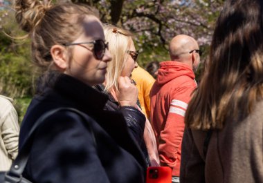 Danimarka 'nın Kopenhag kentindeki Bispegjerg mezarlığındaki kiraz ağacını ziyaret eden insanlar.