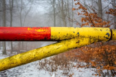 Kış ormanında bir barikat..