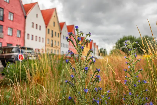 stock image Medieval and Hansa inspired living area Jakriborg in Hjarup, Sweden