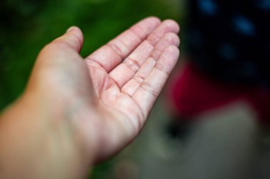 Avuç içi erişen çocuk