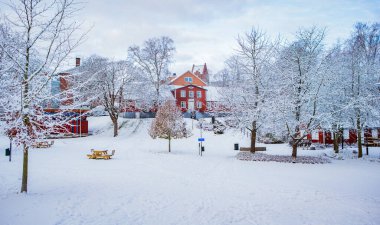 İsveç, Hassleholm 'deki Hembygdsparken parkında kış.