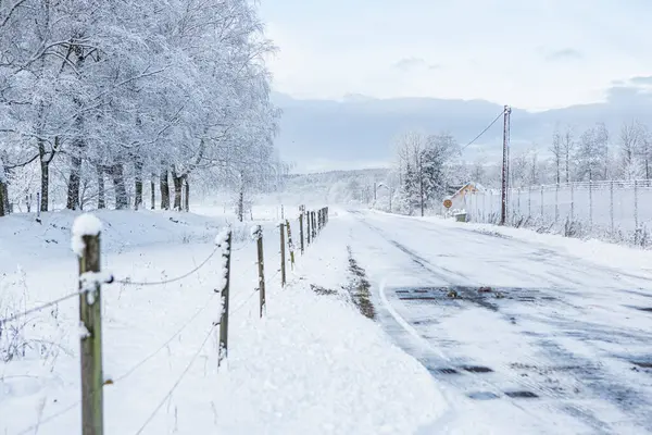 İsveç, Hassleholm 'de kış yolu.