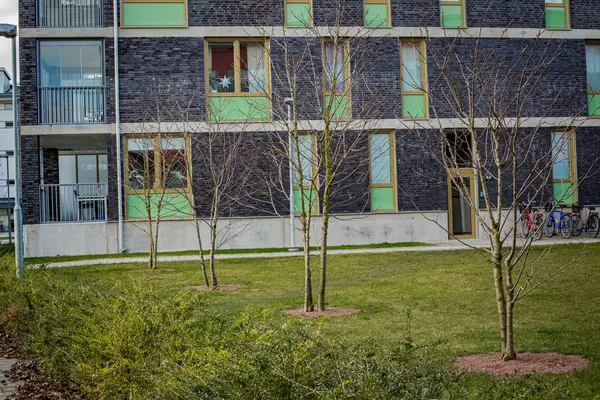 İsveç 'in Malmö bölgesindeki Gyllins bahçelerinde modern inşaat evleri