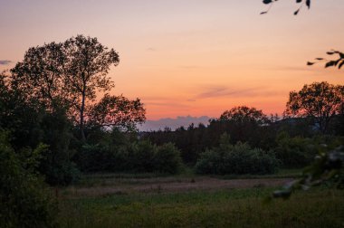 İsveç, Malmö 'deki çayır tarlasında gün batımı