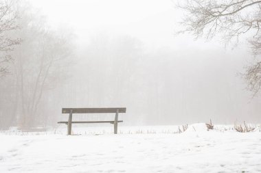 Kış sisinde boş bir bank.