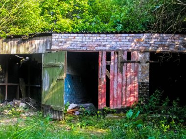 Ormandaki bir kulübede.