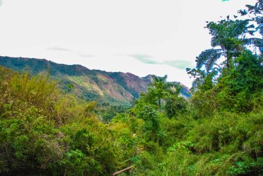 Küba 'daki Sendero Reino Park de las aguas' tan dağ manzarası