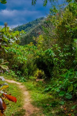 Küba 'daki Sendero Reino Park de las aguas' tan dağ manzarası