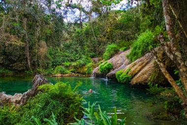 Küba 'daki dağ parkında Sendero reino de las aguas şelalesi