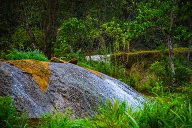 Küba 'daki dağ parkında Sendero reino de las aguas şelalesi