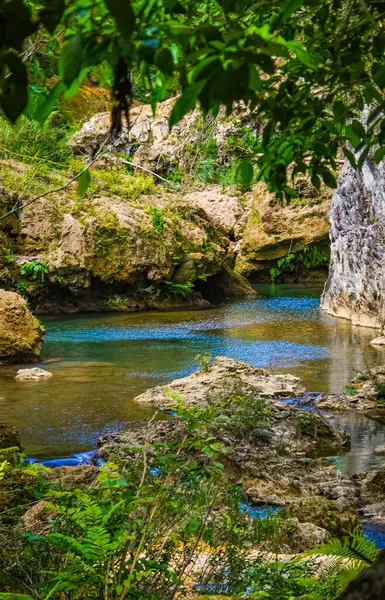 Küba 'daki dağ parkında Sendero reino de las aguas şelalesi