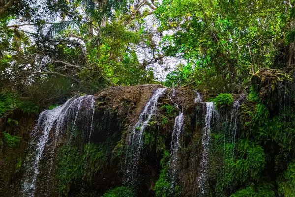 Küba 'daki dağ parkında Sendero reino de las aguas şelalesi