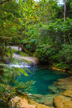 Küba 'daki dağ parkında Sendero reino de las aguas şelalesi