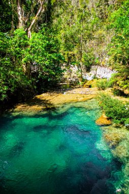 Küba 'daki dağ parkında Sendero reino de las aguas şelalesi