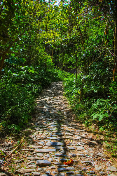 Водопад Sendero reino de las aguas в горном парке на Кубе