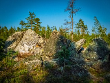 İsveç 'in kuzeyinde taş ve ağaç manzarası