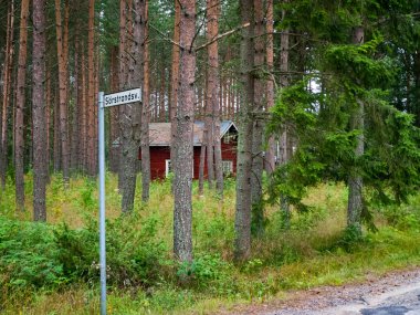 Kuzey İsveç 'teki Norrfjarden köyündeki orman evi.