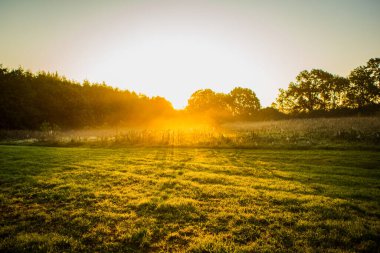 Bir çim tarlasında gün doğumu.