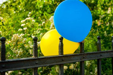 Özel bir günde İsveç renginde sarı ve mavi balon
