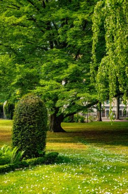 İsveç, Malmö 'deki parkta mezarlık sessizliği