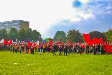 İsveç, Malmö 'deki park havuzunda yıkanan ördekler.