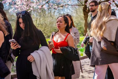 Danimarka 'nın Kopenhag kentindeki Bispegjerg mezarlığındaki kiraz ağacını ziyaret eden insanlar.