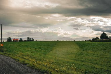 İsveç 'in Jamtland kentindeki Rodon Adası' nda yaz manzarası