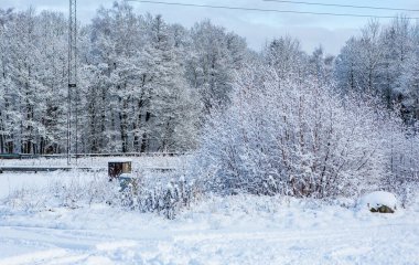 İsveç, Hassleholm 'de kış manzarası