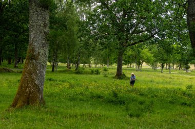 Hassleholm, İsveç - 2024-06-04: Yeşil şapkalı adam