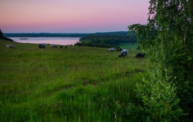 Finjasjon Gölü üzerinde gün batımı Hovdala Hills, Hassleholm, İsveç 'te görüldü.