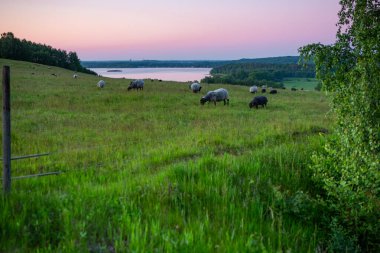 Finjasjon Gölü üzerinde gün batımı Hovdala Hills, Hassleholm, İsveç 'te görüldü.