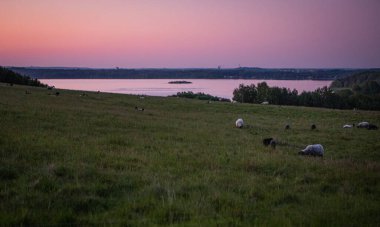 Finjasjon Gölü üzerinde gün batımı Hovdala Hills, Hassleholm, İsveç 'te görüldü.