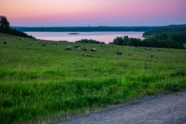 Finjasjon Gölü üzerinde gün batımı Hovdala Hills, Hassleholm, İsveç 'te görüldü.