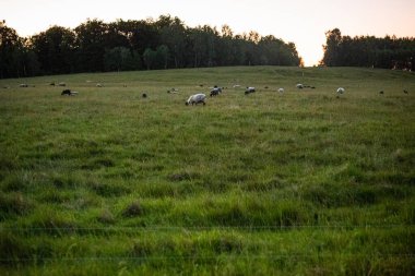 İsveç, Hassleholm 'de Hovdala Hills' te günbatımı