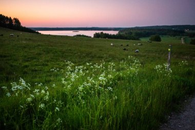 Finjasjon Gölü üzerinde gün batımı Hovdala Hills, Hassleholm, İsveç 'te görüldü.