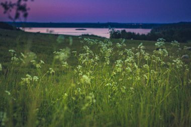 Finjasjon Gölü üzerinde gün batımı Hovdala Hills, Hassleholm, İsveç 'te görüldü.