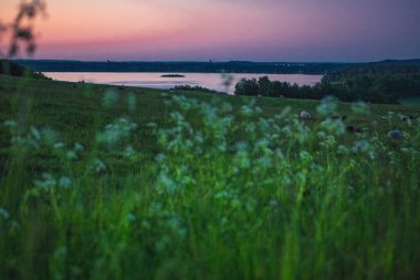 Finjasjon Gölü üzerinde gün batımı Hovdala Hills, Hassleholm, İsveç 'te görüldü.