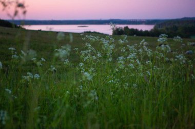 Finjasjon Gölü üzerinde gün batımı Hovdala Hills, Hassleholm, İsveç 'te görüldü.