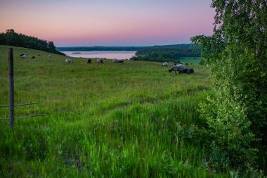 Finjasjon Gölü üzerinde gün batımı Hovdala Hills, Hassleholm, İsveç 'te görüldü.