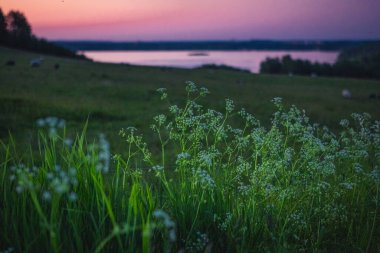 Finjasjon Gölü üzerinde gün batımı Hovdala Hills, Hassleholm, İsveç 'te görüldü.