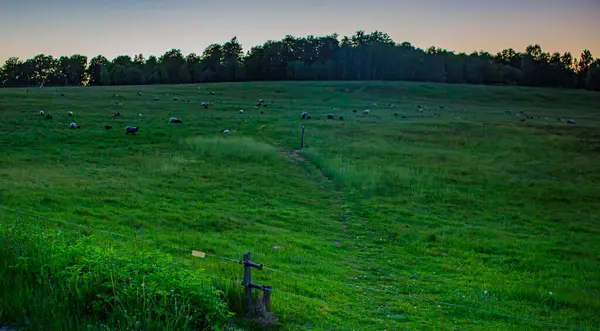 İsveç, Hassleholm 'de Hovdala Hills' te günbatımı