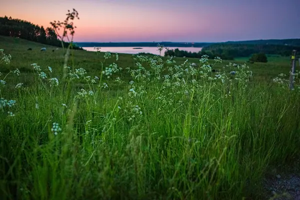 Finjasjon Gölü üzerinde gün batımı Hovdala Hills, Hassleholm, İsveç 'te görüldü.
