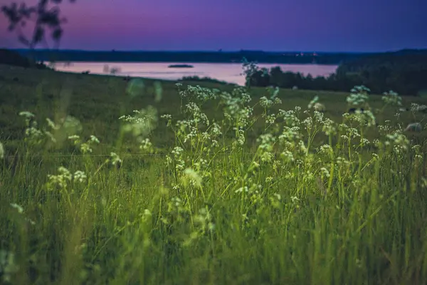 Finjasjon Gölü üzerinde gün batımı Hovdala Hills, Hassleholm, İsveç 'te görüldü.
