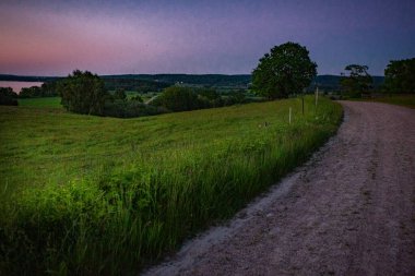 Günbatımında koyunlar Hassleholm, İsveç 'te Hovdala Hills' de