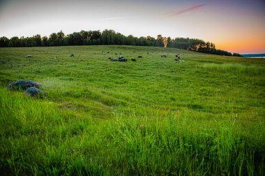 İsveç, Hassleholm 'de Hovdala Hills' te günbatımı
