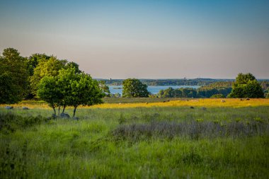 Hovdala Hills 'ten görüntü, Hassleholm, İsveç' in dışında..