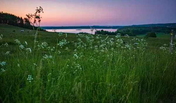 Finjasjon Gölü üzerinde gün batımı Hovdala Hills, Hassleholm, İsveç 'te görüldü.