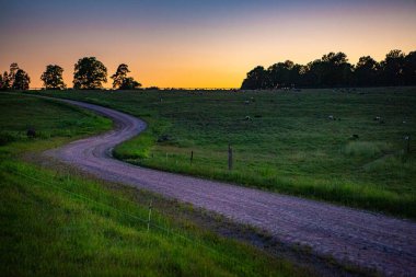 Hassleholm dışındaki Hovdala tepelerindeki çakıl yolu manzarası