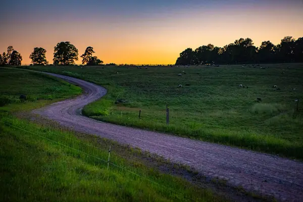 Hassleholm dışındaki Hovdala tepelerindeki çakıl yolu manzarası